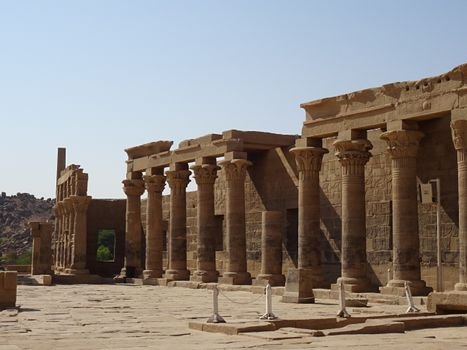 Explore the historic ruins of an ancient Egyptian temple, showcasing majestic stone columns basking in the sunlight.