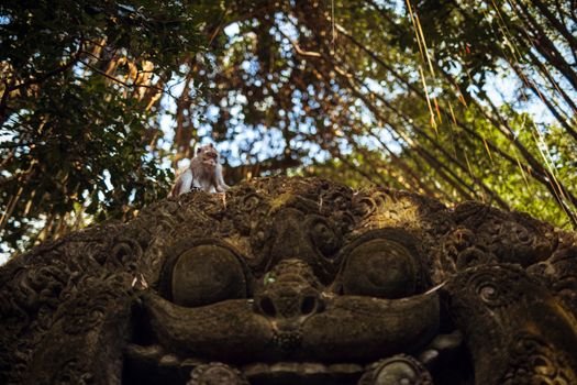 A monkey sitting on an ornate sculpture in Ubud's lush monkey forest.