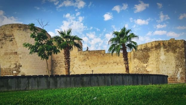 Historic fortress walls with palm trees under a blue sky in Şanlıurfa, Turkey.