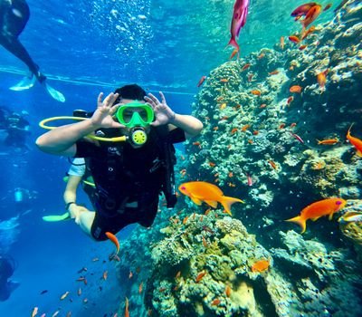 Diver explores colorful coral reef with tropical fish in vibrant underwater scene.
