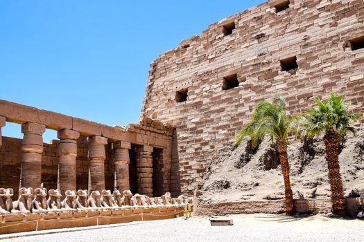 Karnak Temple Complex in Luxor, Egypt showcasing ancient pillars and palm trees.