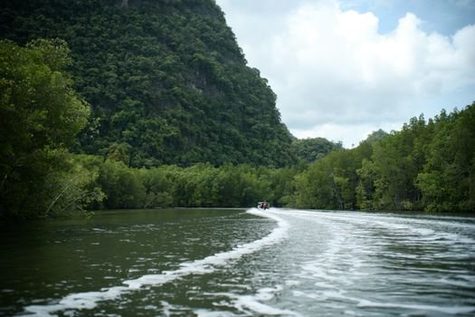 Experience a tranquil river cruise through Langkawi's lush forests with stunning natural scenery.