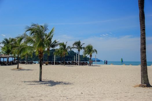 Idyllic tropical beach in Langkawi, Malaysia, featuring palm trees and blue skies, perfect for a summer vacation.