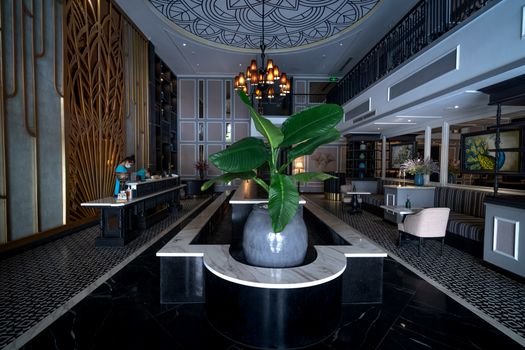 Luxurious hotel lobby featuring sleek decor, stylish chandelier, and central plant arrangement.